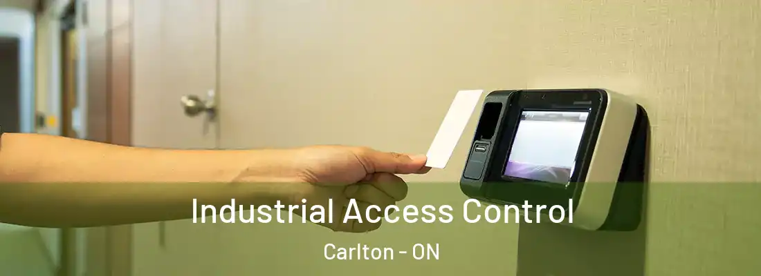  Industrial Access Control Carlton - ON