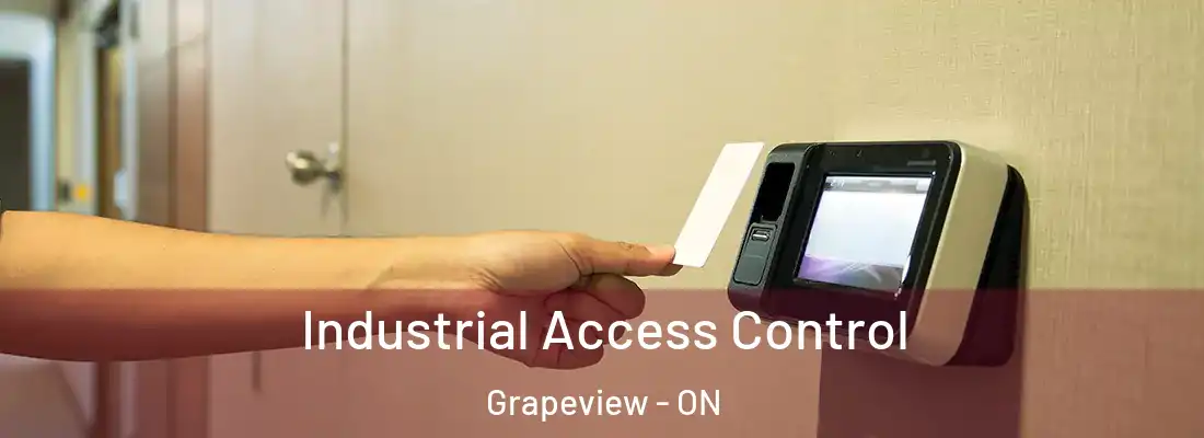  Industrial Access Control Grapeview - ON