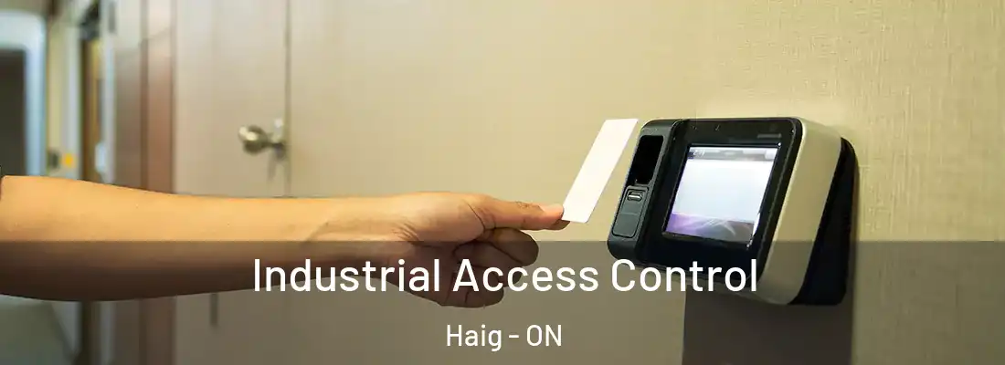  Industrial Access Control Haig - ON