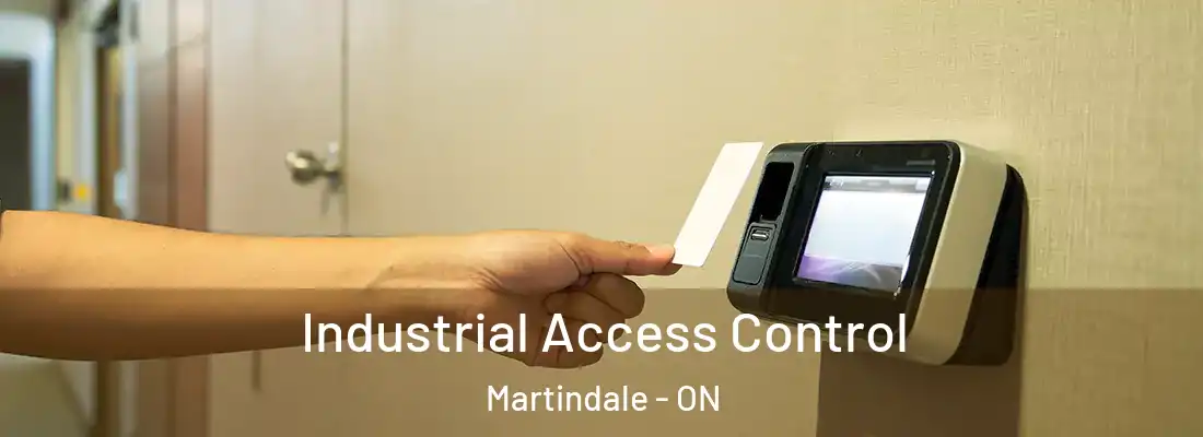  Industrial Access Control Martindale - ON