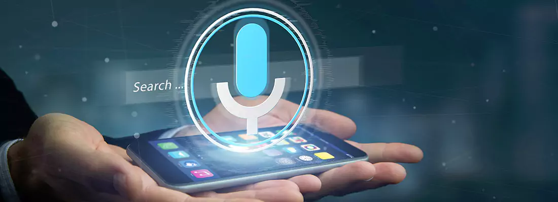 Enhance Security with Voice Recognition Access Systems in Port Weller East, ON