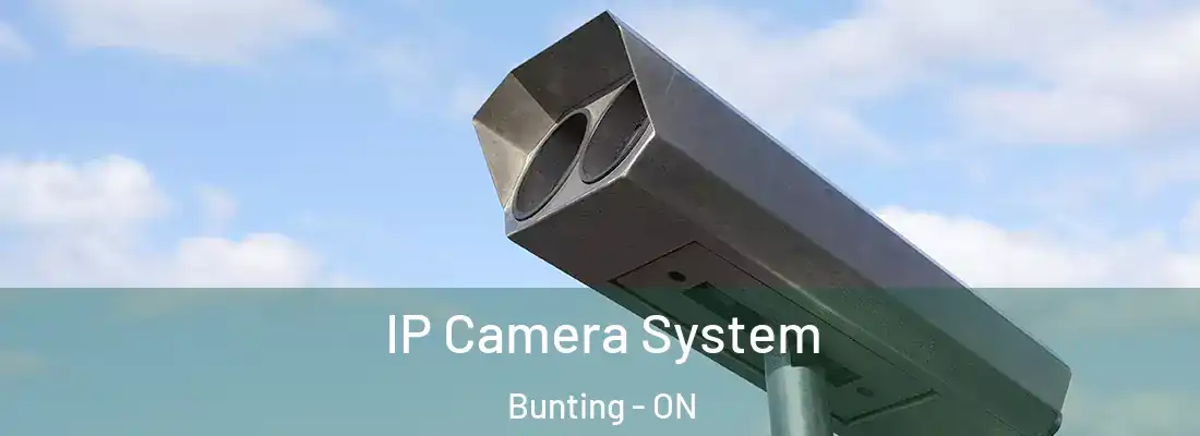  IP Camera System Bunting - ON