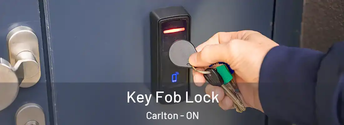  Key Fob Lock Carlton - ON