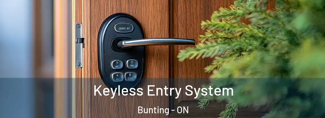  Keyless Entry System Bunting - ON