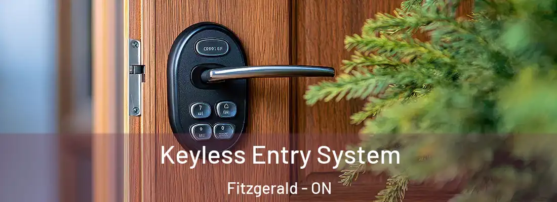  Keyless Entry System Fitzgerald - ON