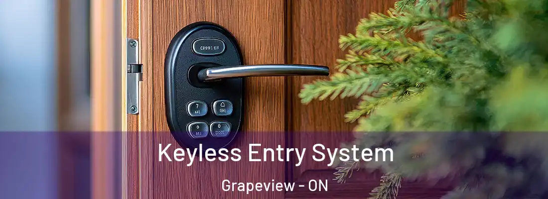  Keyless Entry System Grapeview - ON
