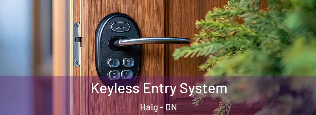  Keyless Entry System Haig - ON