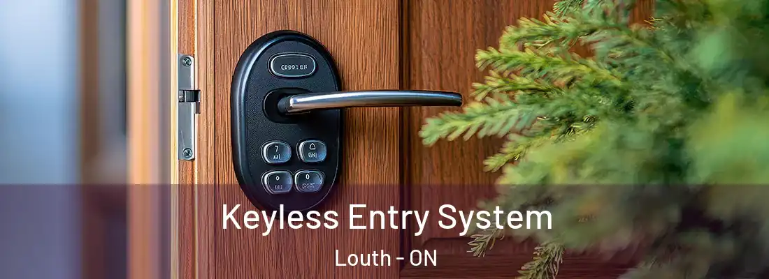  Keyless Entry System Louth - ON