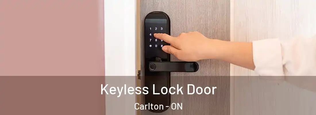  Keyless Lock Door Carlton - ON