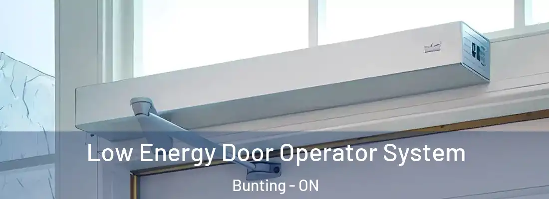  Low Energy Door Operator System Bunting - ON