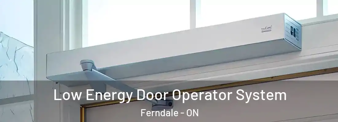  Low Energy Door Operator System Ferndale - ON