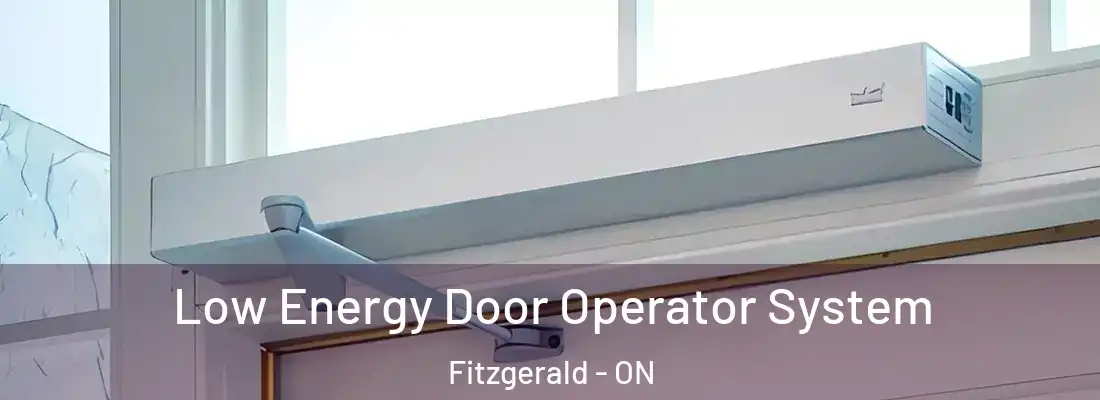  Low Energy Door Operator System Fitzgerald - ON