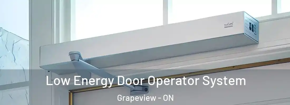  Low Energy Door Operator System Grapeview - ON