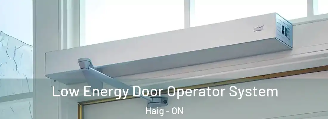  Low Energy Door Operator System Haig - ON