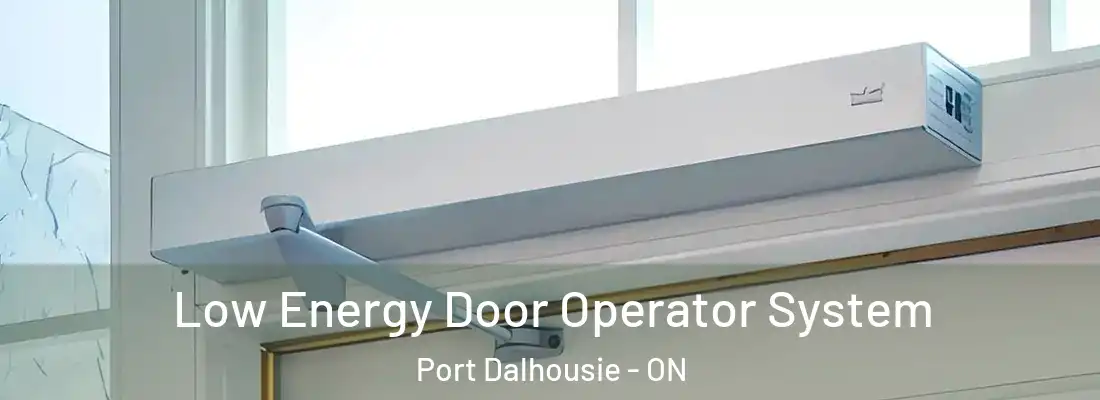  Low Energy Door Operator System Port Dalhousie - ON