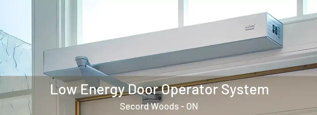  Low Energy Door Operator System Secord Woods - ON
