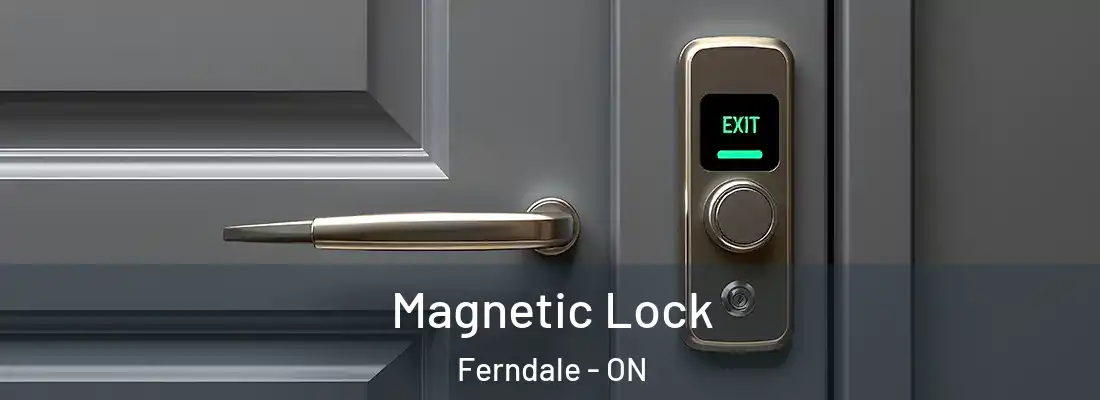  Magnetic Lock Ferndale - ON