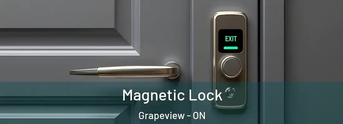  Magnetic Lock Grapeview - ON