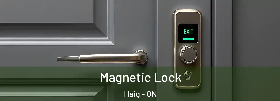  Magnetic Lock Haig - ON