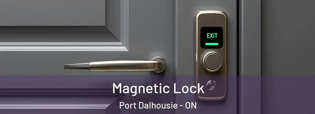  Magnetic Lock Port Dalhousie - ON
