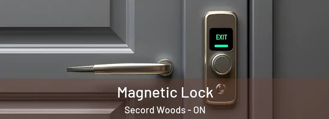  Magnetic Lock Secord Woods - ON