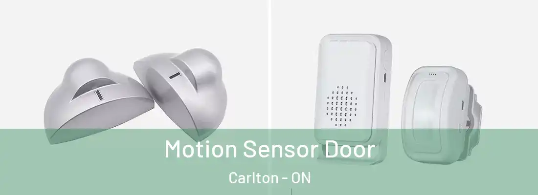  Motion Sensor Door Carlton - ON