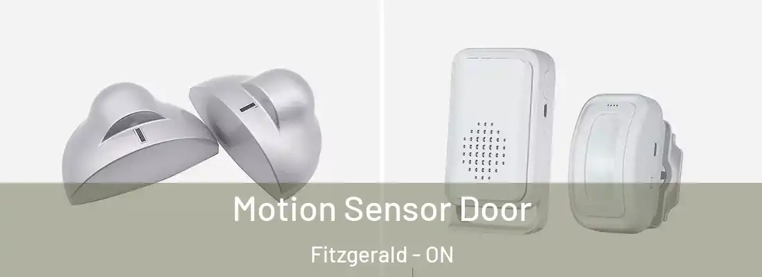  Motion Sensor Door Fitzgerald - ON