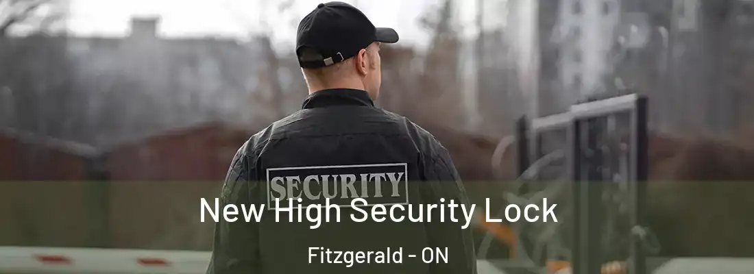  New High Security Lock Fitzgerald - ON