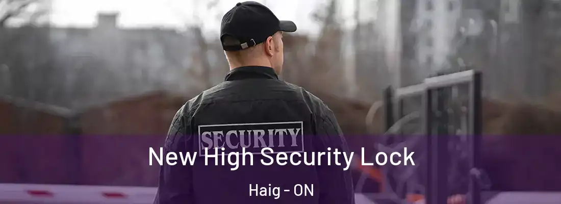  New High Security Lock Haig - ON