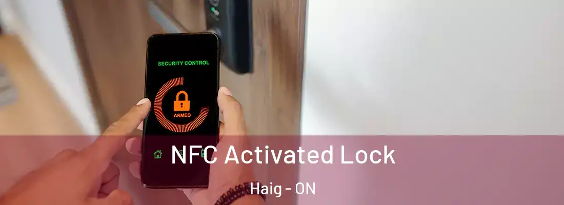  NFC Activated Lock Haig - ON