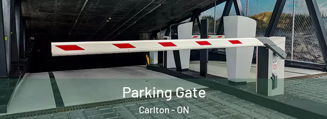  Parking Gate Carlton - ON