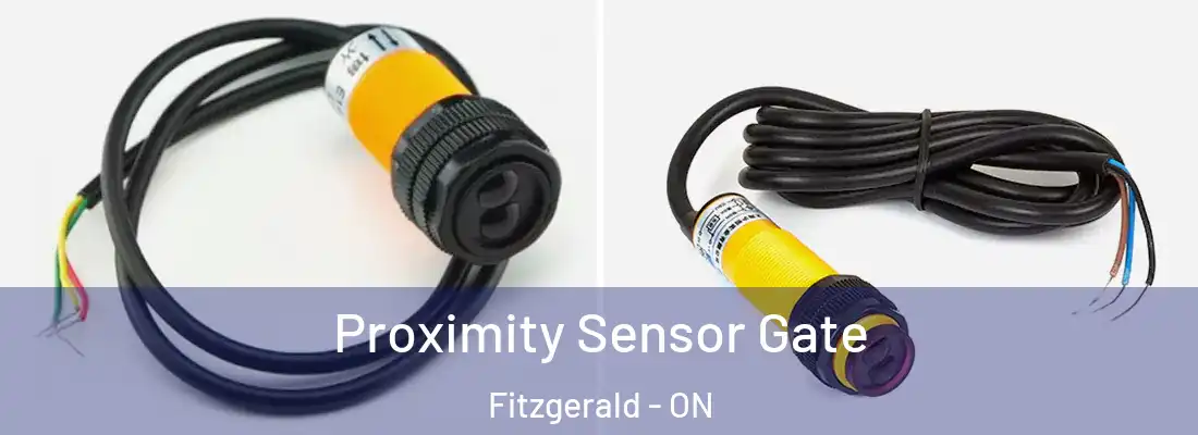  Proximity Sensor Gate Fitzgerald - ON