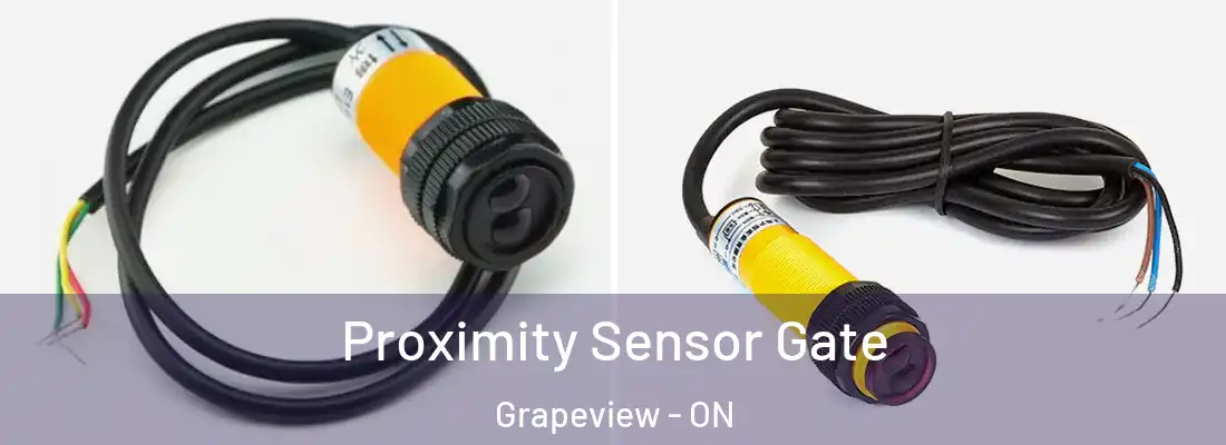  Proximity Sensor Gate Grapeview - ON