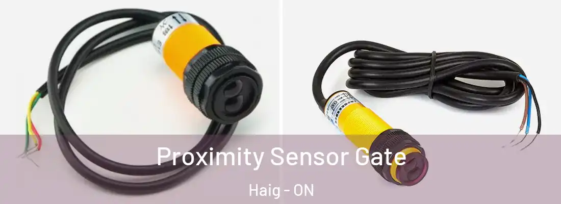  Proximity Sensor Gate Haig - ON