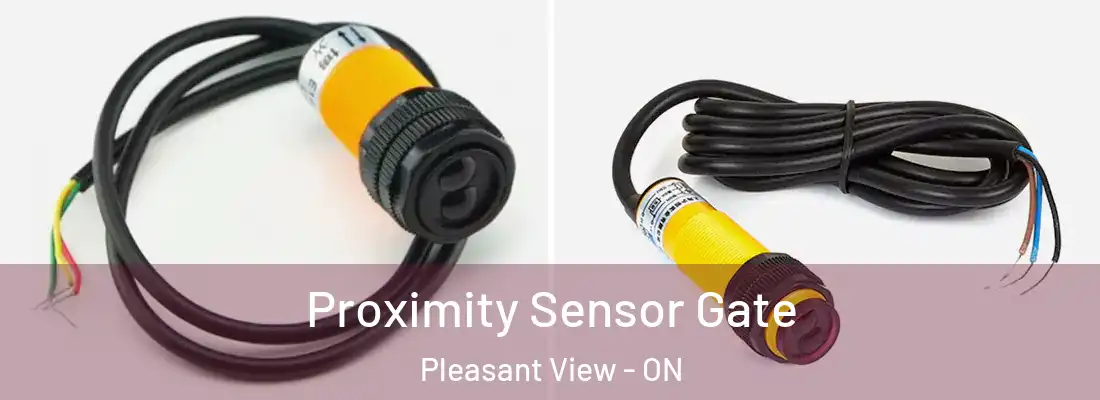  Proximity Sensor Gate Pleasant View - ON