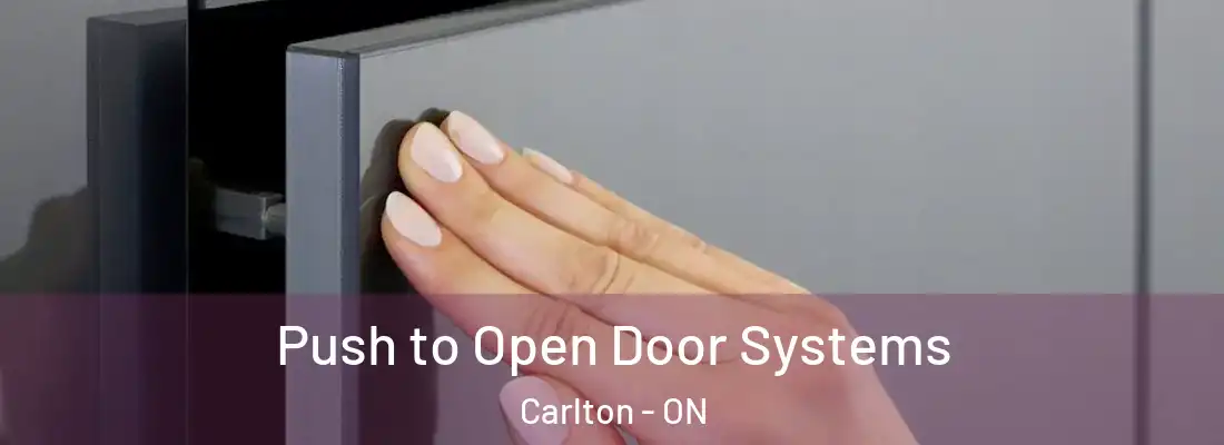  Push to Open Door Systems Carlton - ON