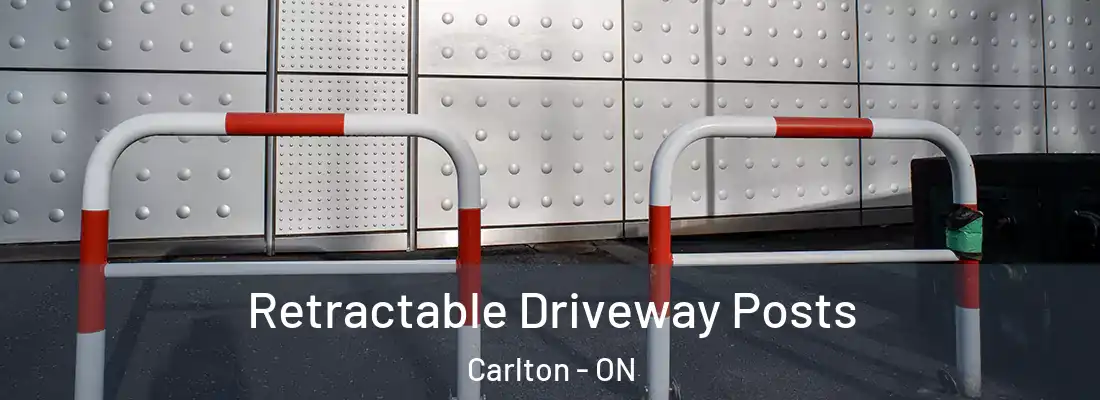  Retractable Driveway Posts Carlton - ON