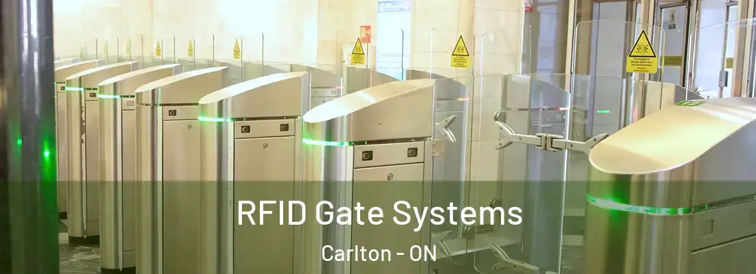  RFID Gate Systems Carlton - ON