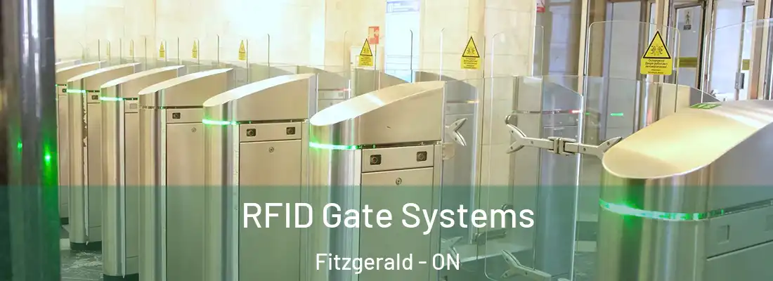  RFID Gate Systems Fitzgerald - ON
