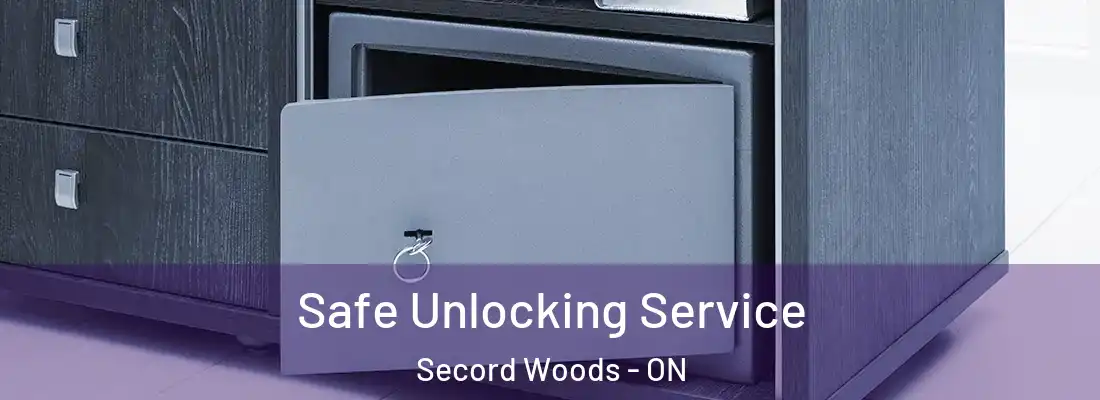  Safe Unlocking Service Secord Woods - ON
