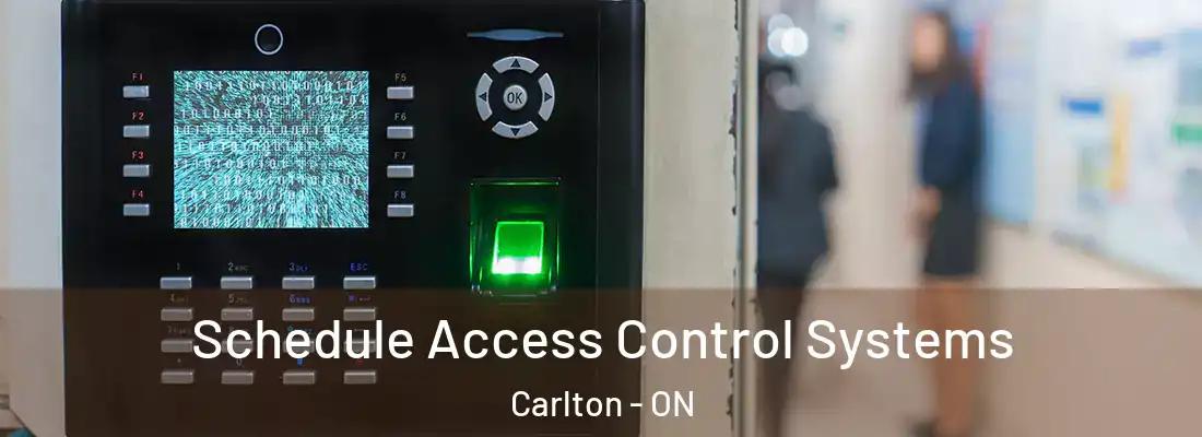  Schedule Access Control Systems Carlton - ON