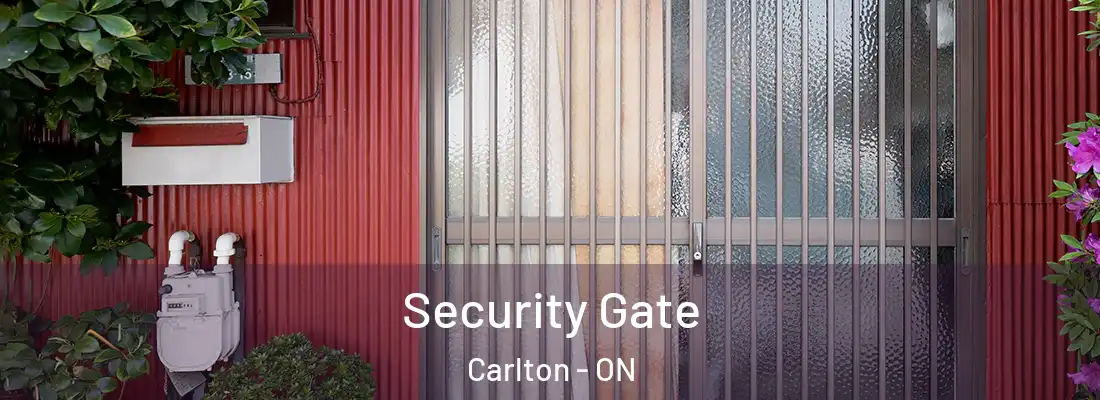  Security Gate Carlton - ON