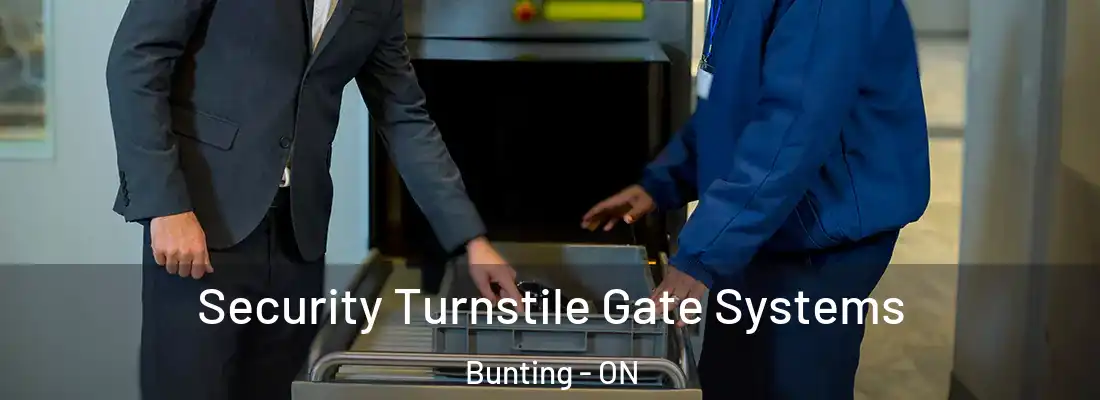  Security Turnstile Gate Systems Bunting - ON