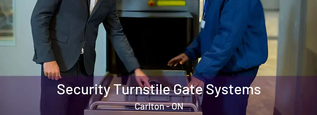  Security Turnstile Gate Systems Carlton - ON
