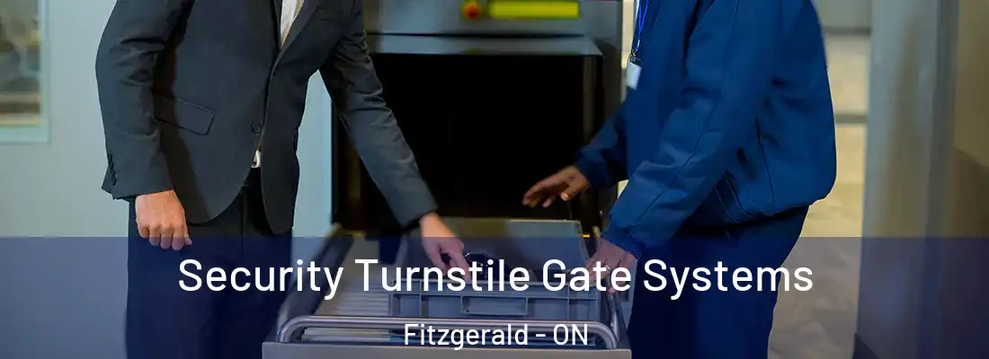  Security Turnstile Gate Systems Fitzgerald - ON
