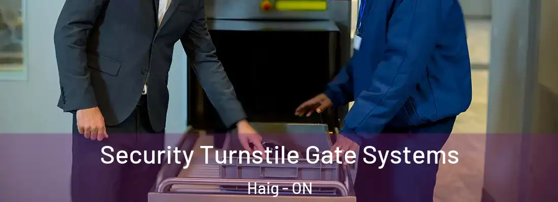  Security Turnstile Gate Systems Haig - ON