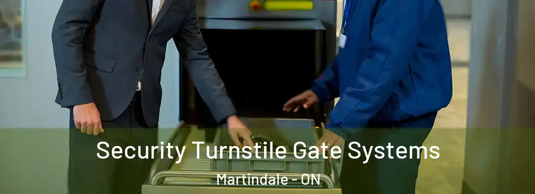  Security Turnstile Gate Systems Martindale - ON