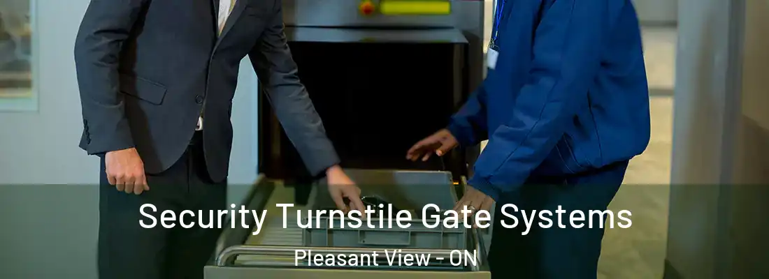  Security Turnstile Gate Systems Pleasant View - ON