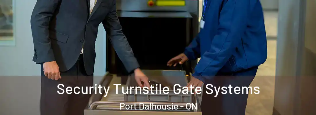  Security Turnstile Gate Systems Port Dalhousie - ON