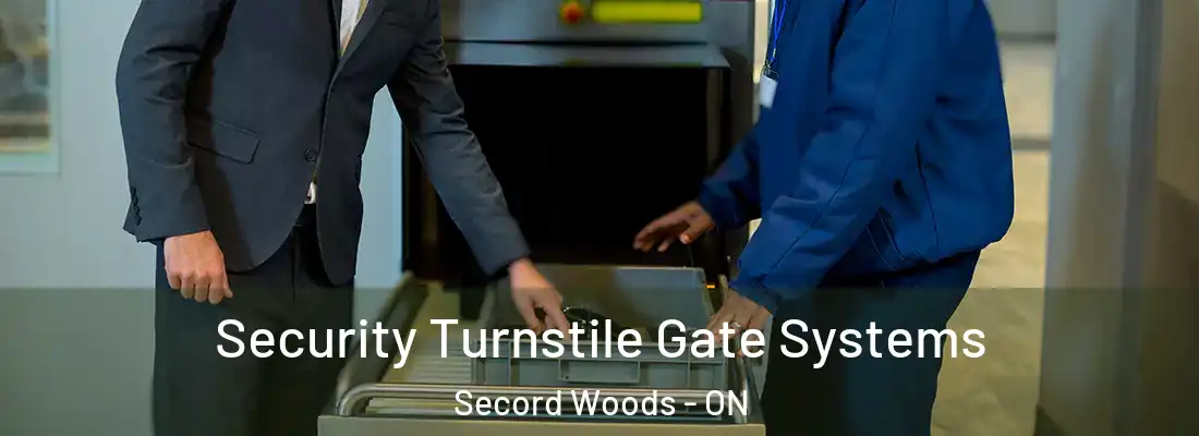  Security Turnstile Gate Systems Secord Woods - ON